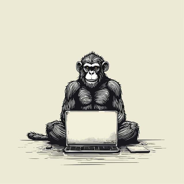 解密VPN技术原理：如何实现安全的网络连接？