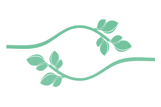 VPN与网络安全：专家解读当前形势