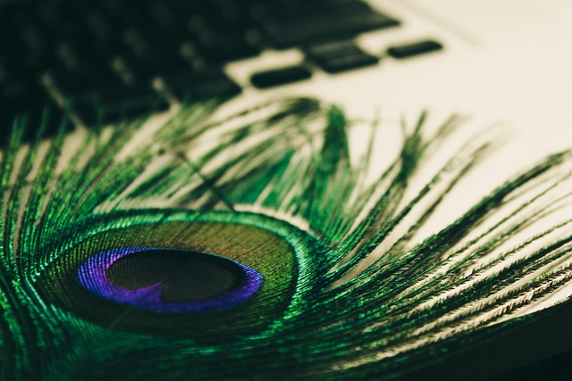 研究显示：VPN用户中，隐私保护是最重要的考虑因素