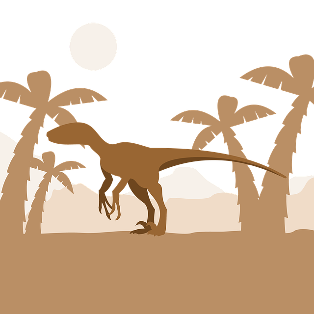 国家政策调整对VPN市场的影响：合规与创新并存