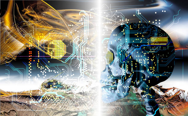 VPN平台比较：哪些服务最受用户青睐？